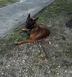 Duke