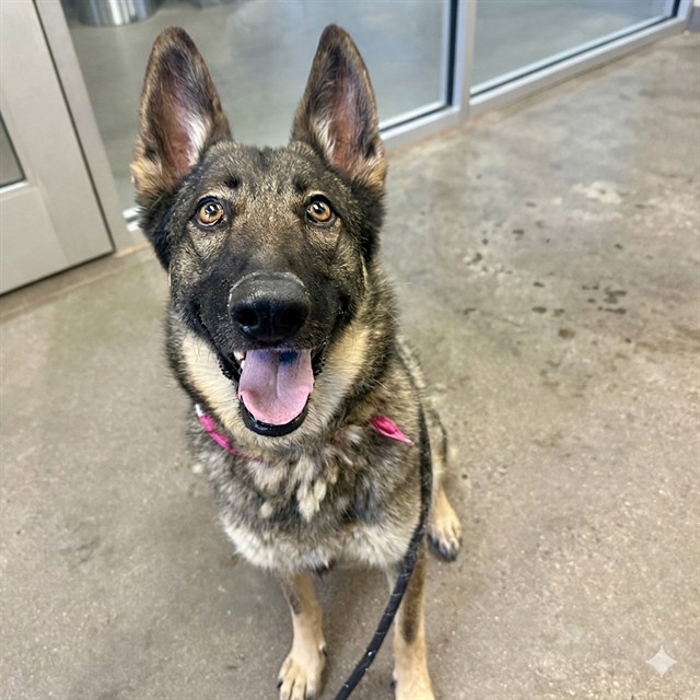 Mia