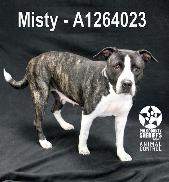Misty