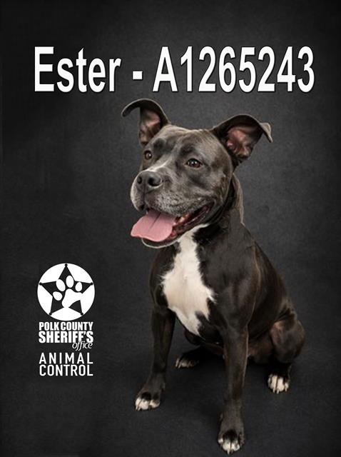 Ester