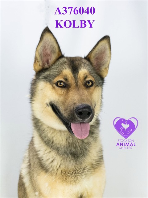 Kolby