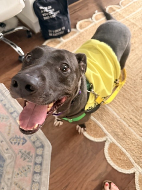 Boscoe