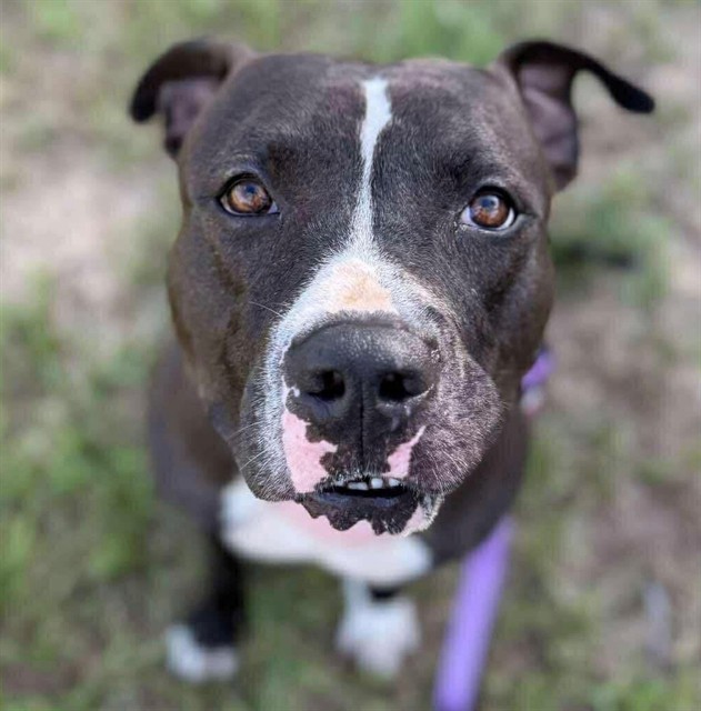 Roscoe