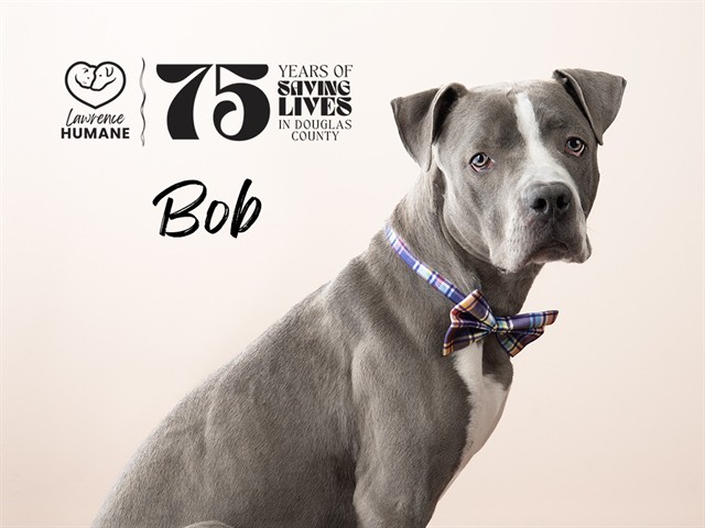 Bob