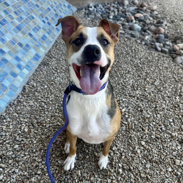 Jax