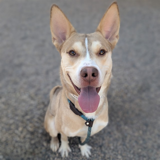 Benny