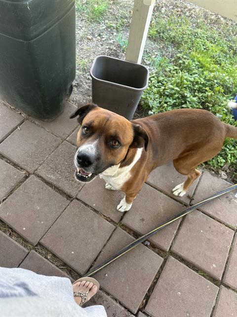 Paco