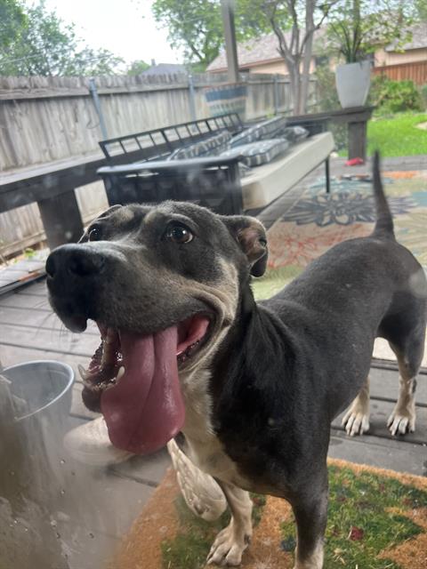 Lucy