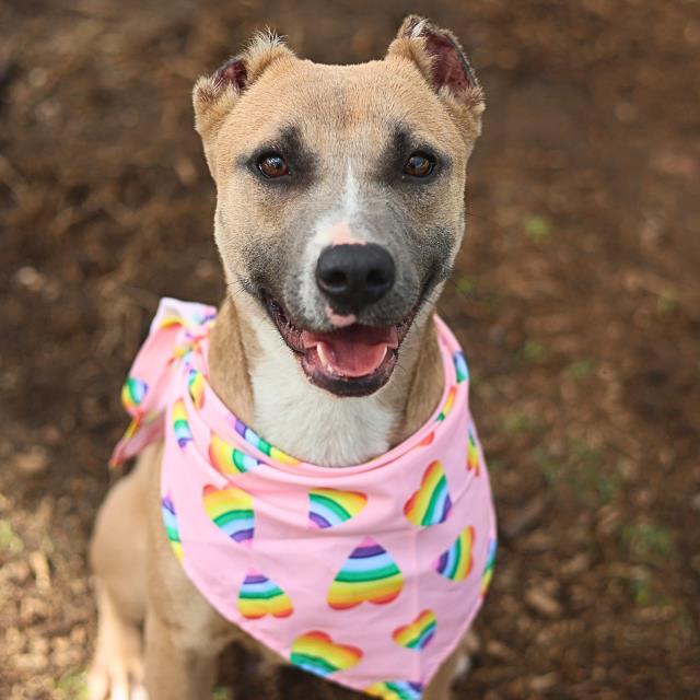 Suzie
