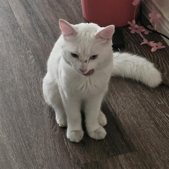Edward