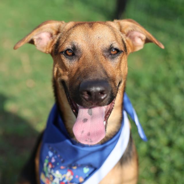 Max
