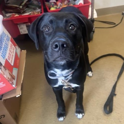 Jax