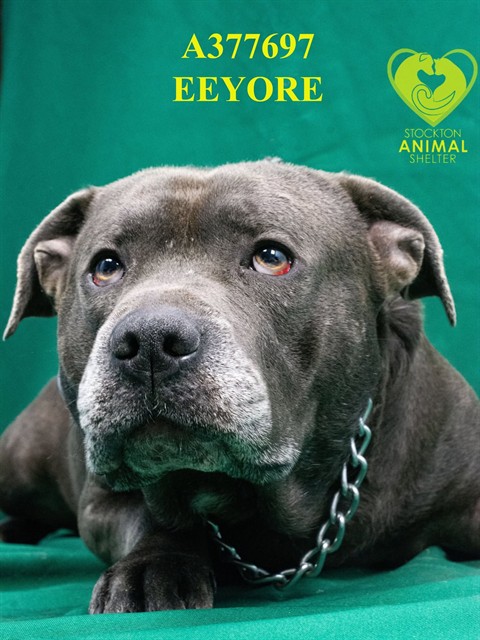 Eeyore