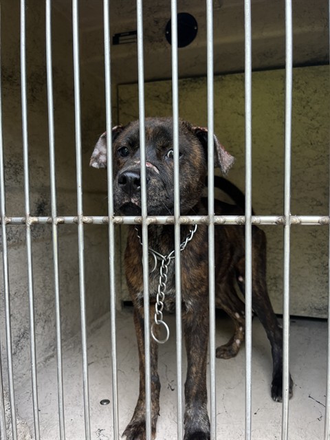 Justin Case