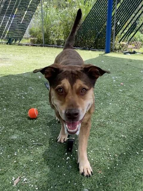 Max