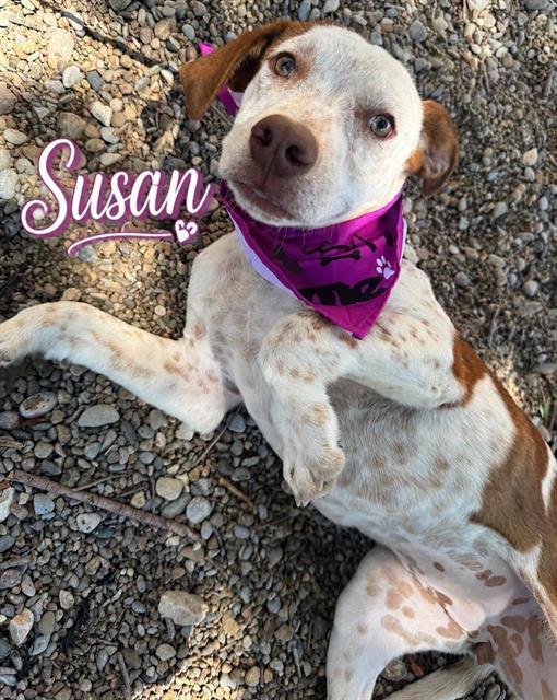 Susan
