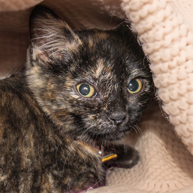 Tina