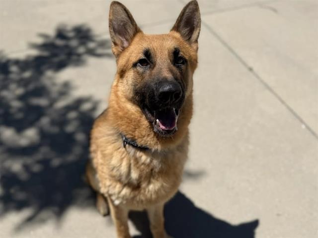 Carlos
