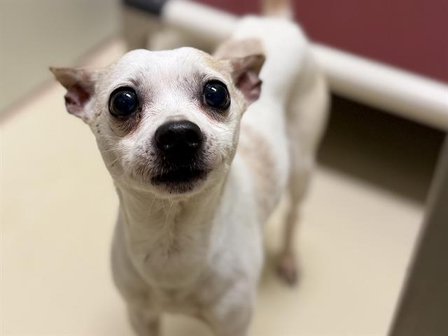 Coco