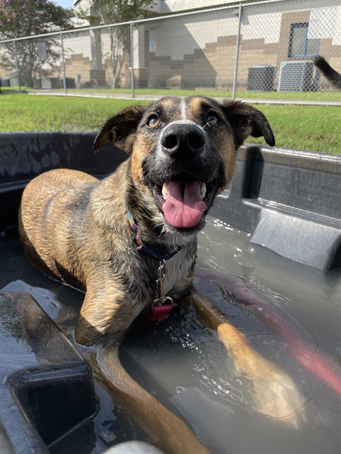Maggie