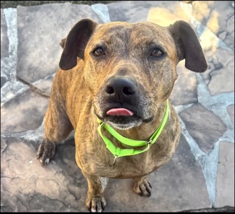 Coco