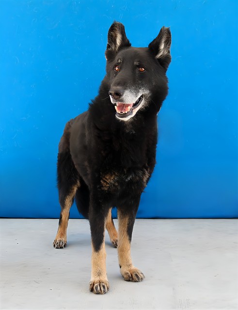 Max
