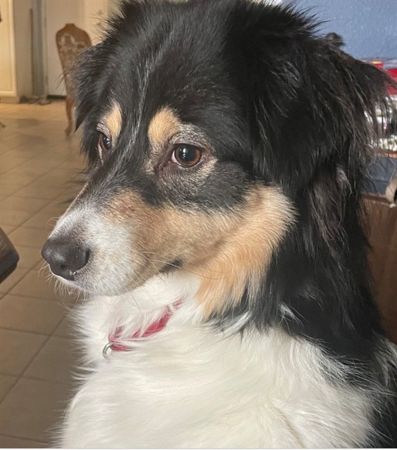Charly