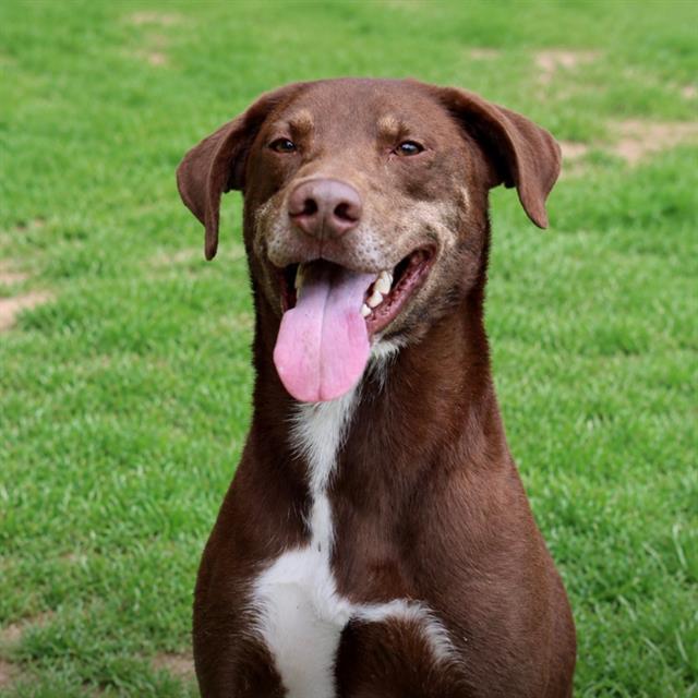 Coco