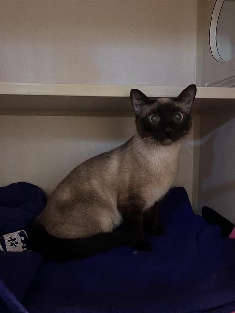 Martha