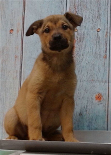 Zoe