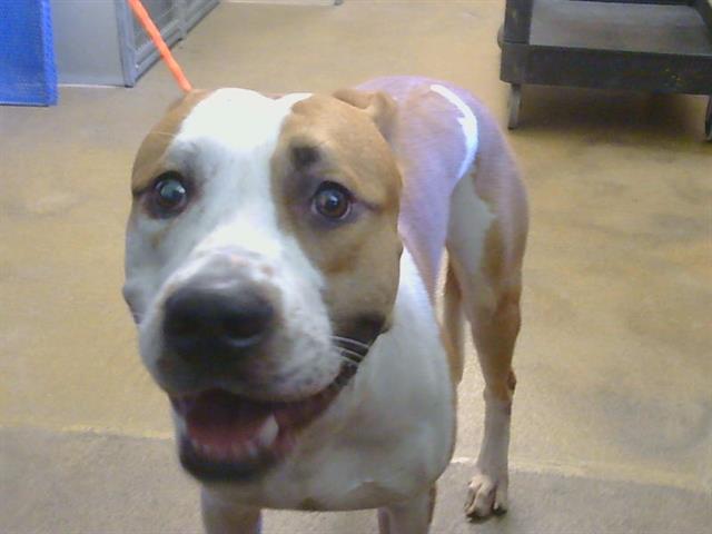 *Roscoe