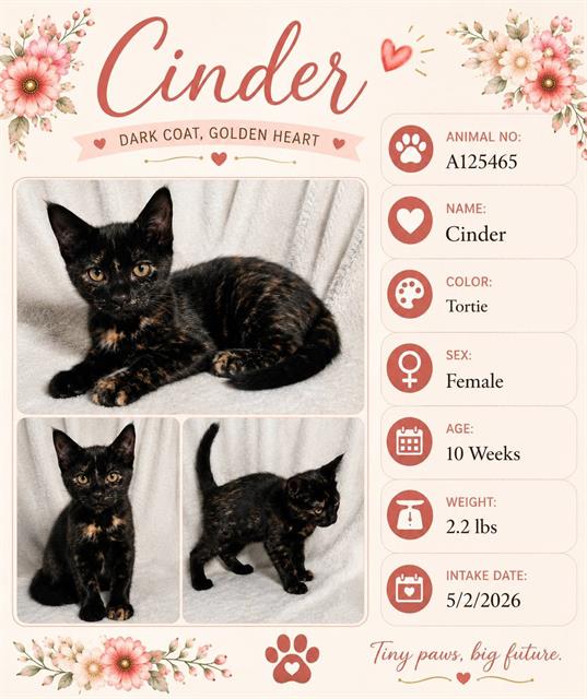 Cinder