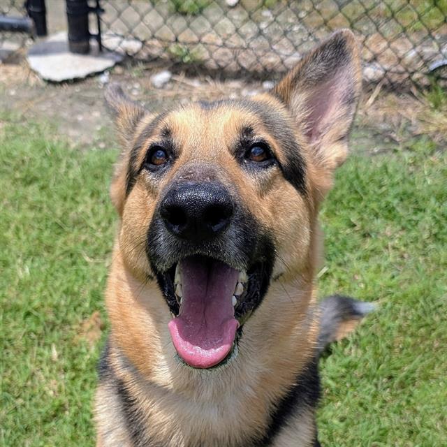 Arlo