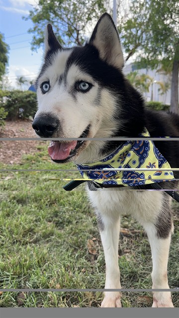 Ben
