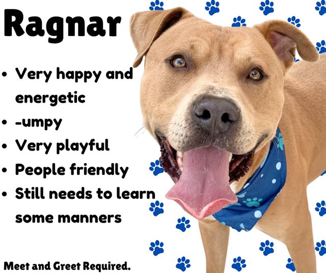 Ragnar