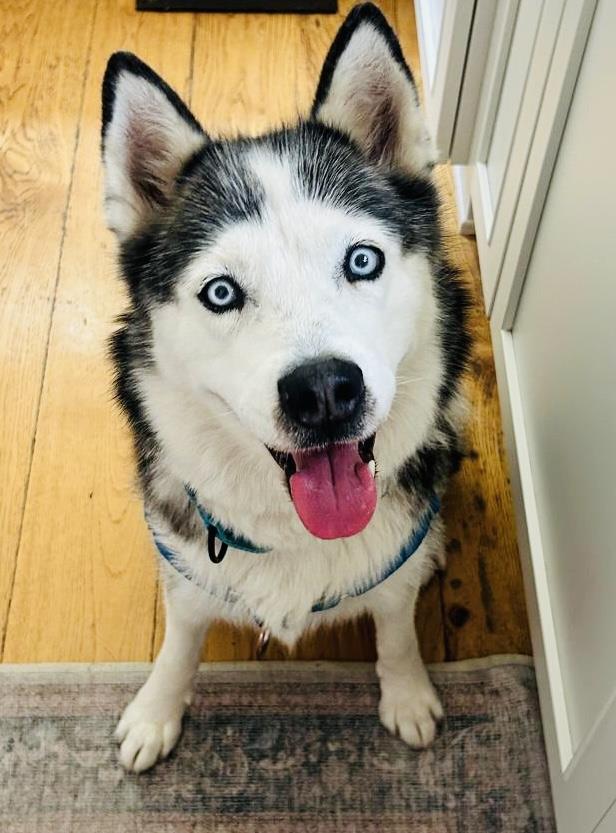 Mia