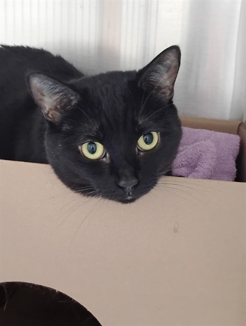 Sabrina