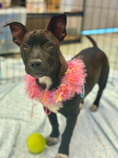 Fiona