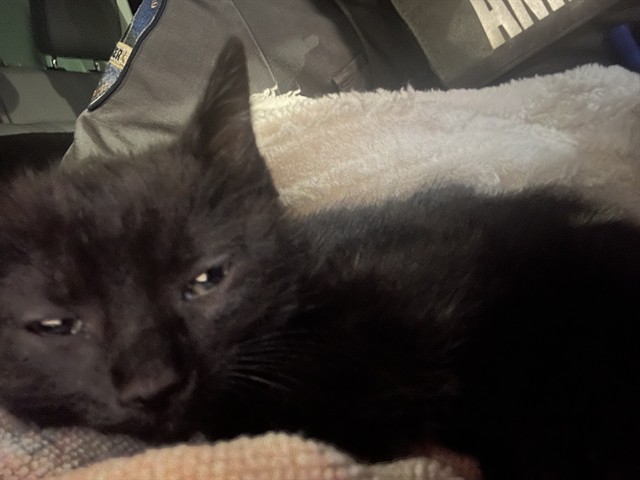 Pele