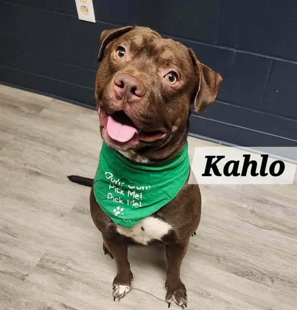 Kahlo