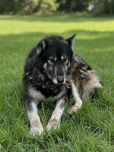 Roscoe