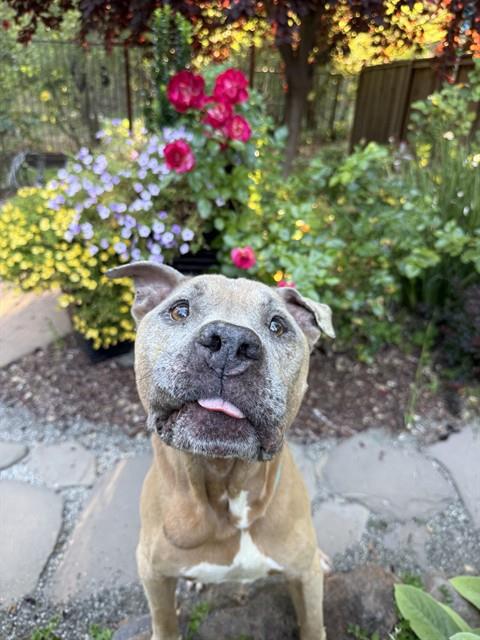 Sam