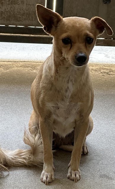 Lupita