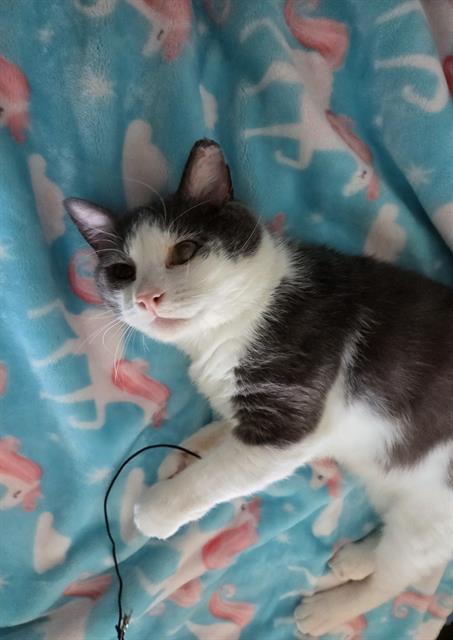 Tom