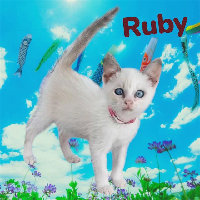 *Ruby