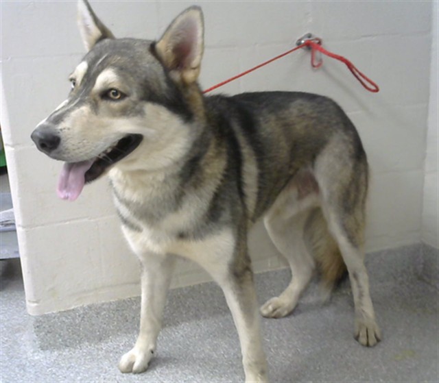 Max