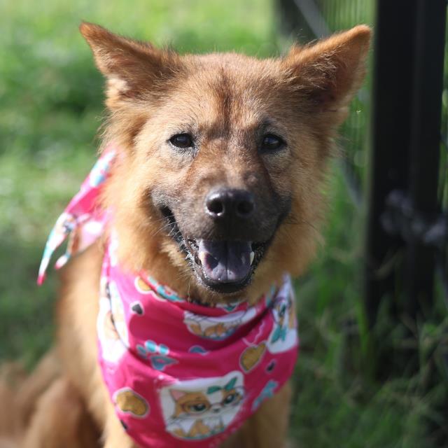 Sammy