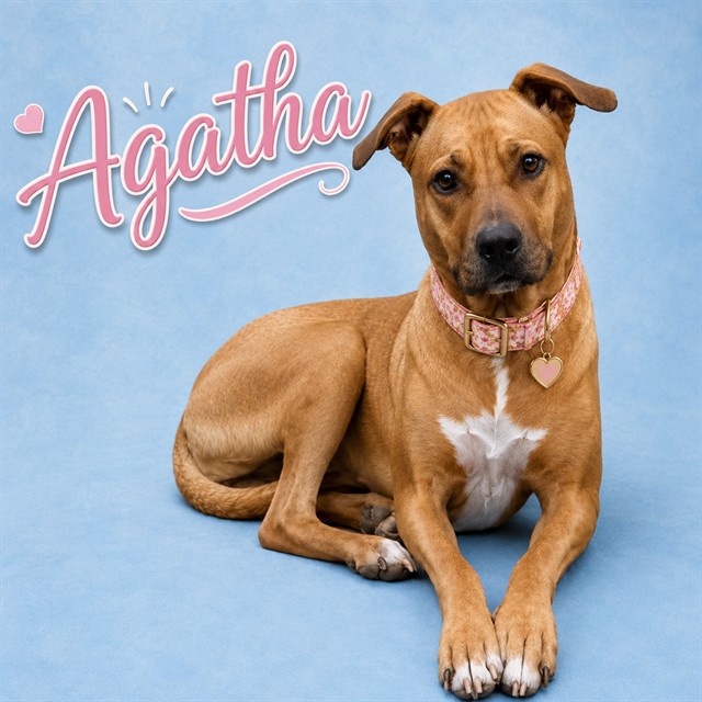 Agatha