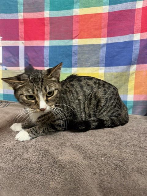 Freya