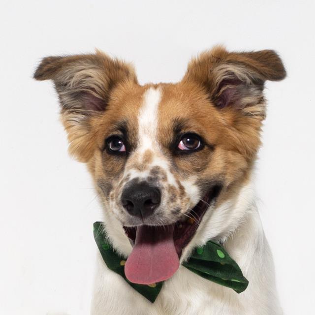 Charlie